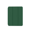 Green Lion Hogo Premium Case For iPad Air 13 2024 - Green